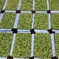 郑州市空气能热泵烘干机 天杰节能 食品烘干箱加工厂批发